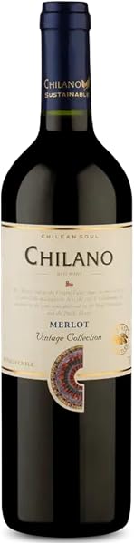 Melhores Vinhos Chilenos